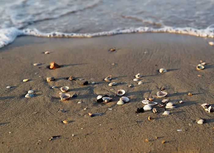 Delightful Flat In A Village With Swimming Pool